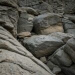 Tło akwariowe skały